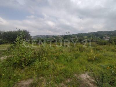 Tepeji Del Río De Ocampo, Hidalgo 42851, México