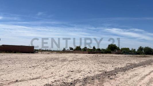 Callejon salinas , Maipú, Mendoza 5515, Argentine