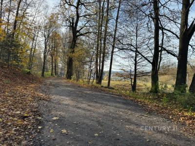 Oldřichov V Hájích, Liberec 100 00, República Checa