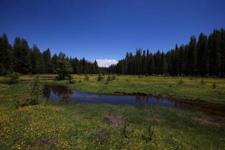 10 Beasore Road, Bass Lake, Kalifornien 93604, USA