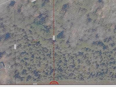 On Moss Lake , Lac Du Flambeau, Wisconsin 54538, Estados Unidos