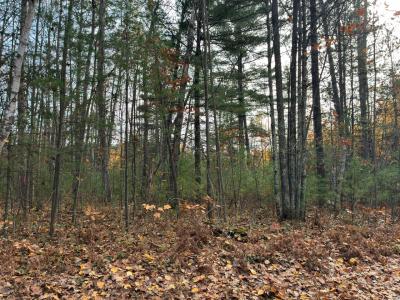 On Moss Lake , Lac Du Flambeau, Wisconsin 54538, Estados Unidos