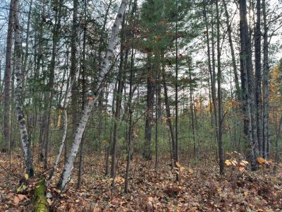 On Moss Lake , Lac Du Flambeau, Wisconsin 54538, Estados Unidos