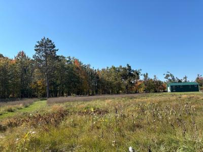 1000 N Hillman Airport, Hillman, Michigan 49746, Estados Unidos