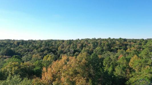 0000 CR 1350, Linden, Teksas 75563, Amerika Birleşik Devletleri