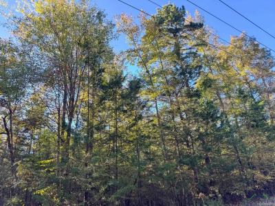 0000 CR 1350, Linden, Teksas 75563, Amerika Birleşik Devletleri