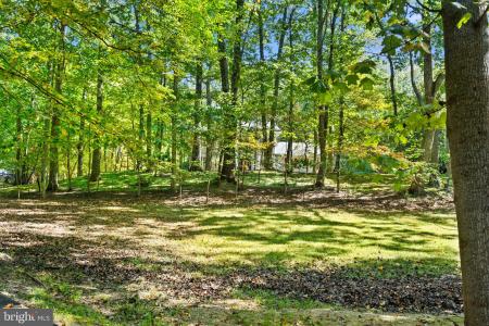 7255 Auburn Mill Road, Warrenton, Virginia 20187