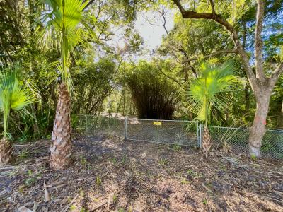 000 TROUT STREET, Melrose, Florida 32666, Estados Unidos