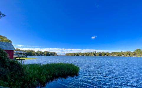 000 TROUT STREET, Melrose, Florida 32666, Estados Unidos