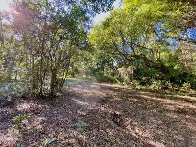 000 TROUT STREET, Melrose, Florida 32666, Estados Unidos