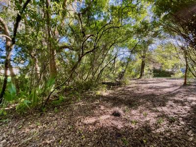 000 TROUT STREET, Melrose, Florida 32666, Estados Unidos