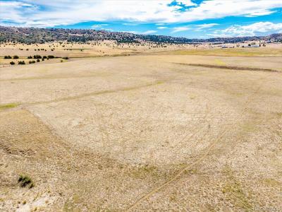 0000 Parcel C Burnt Mill Road, Beulah, Colorado 81023, Estados Unidos