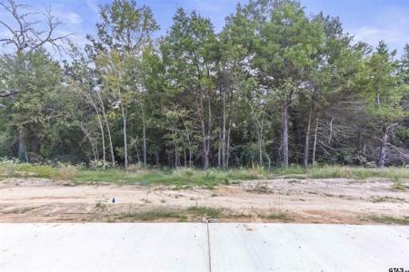 13938 Cedar Hill Lane, Tyler, Texas 75704, États-Unis