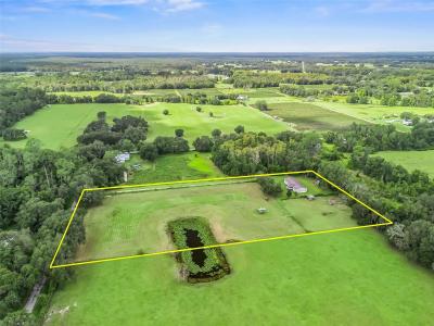 1814 CR 739, Webster, 佛罗里达州 33597, 美国