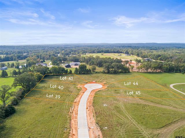 13824 Cedar Hill Lane, Tyler, Texas 75704, États-Unis