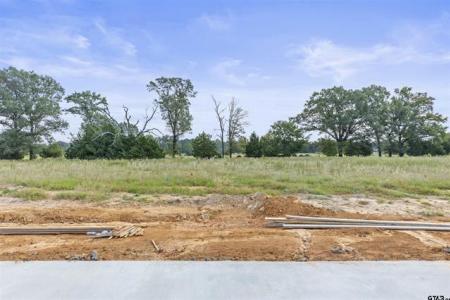 13824 Cedar Hill Lane, Tyler, Texas 75704, États-Unis