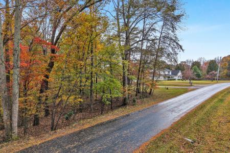 0 Thomason Lane, Goodiew, וירג'יניה 24095, ארצות הברית של אמריקה 