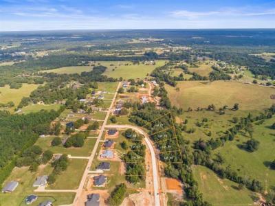 13933 Cedar Hill Lane, Tyler, Texas 75704, États-Unis