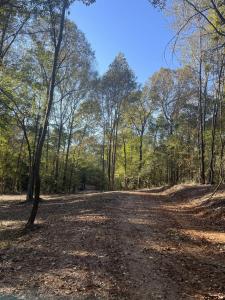 TBD Woodchuck Rd, Pittsburg, Texas 75686, États-Unis