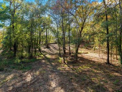 TBD Woodchuck Rd, Pittsburg, Texas 75686, États-Unis