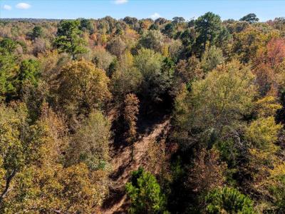 TBD Woodchuck Rd, Pittsburg, Texas 75686, États-Unis