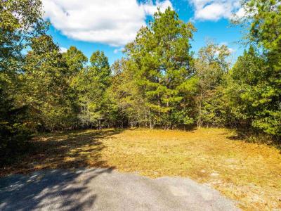 TBD Dove Pl, Hot Springs, Arkansas 71913, USA