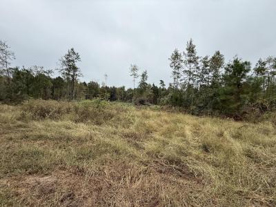 TBD CR 314 - 16.45 acres, Henderson, Texas 75652, États-Unis
