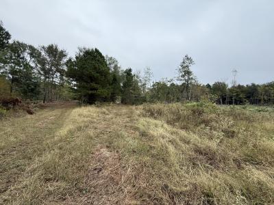 TBD CR 314 - 16.45 acres, Henderson, Texas 75652, États-Unis