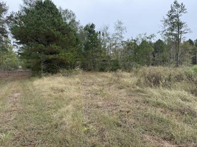 TBD CR 314 - 16.45 acres, Henderson, Texas 75652, États-Unis