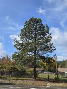 505 Morse Street, Ryderwood, Вашингтон 98581, Соединенные Штаты