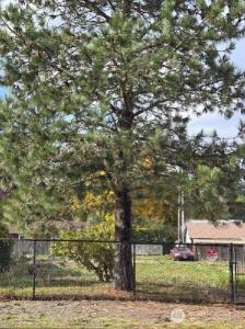 505 Morse Street, Ryderwood, Вашингтон 98581, Соединенные Штаты