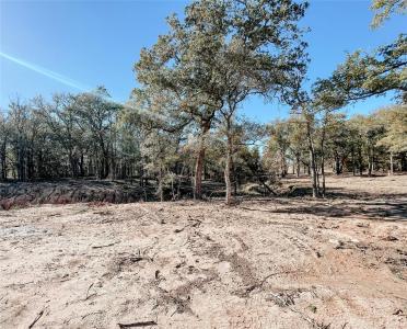 319 Rita Ridge Court, Millsap, Texas 76066, Estados Unidos