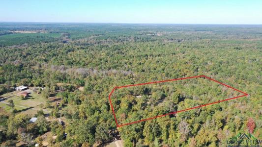 551 County Road 1350, Linden, טקסס 75563, ארצות הברית של אמריקה 