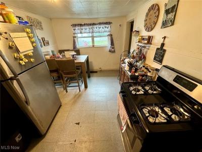 477 Henry Street, Painesville, Ohio 44077, Estados Unidos