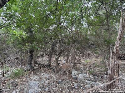 1424 Stahlman, New Braunfels, Texas 78132, USA