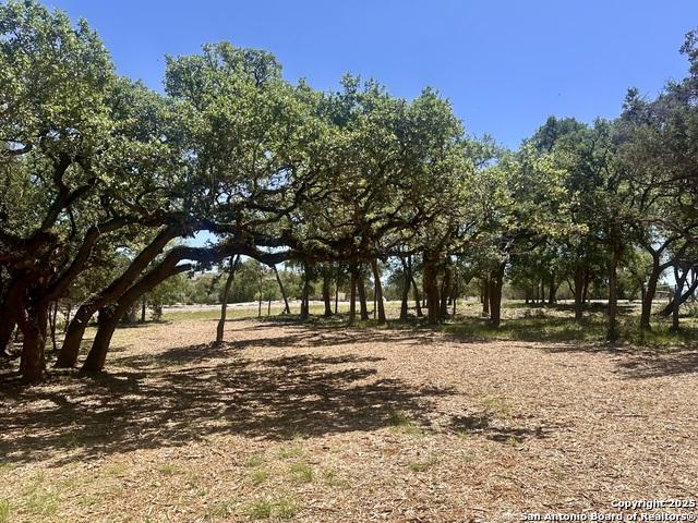 288 Scenic Cyn, New Braunfels, Texas 78132, Stati Uniti