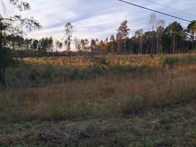 0000 Kirkland Rd, Tylertown, Mississippi 39667, USA