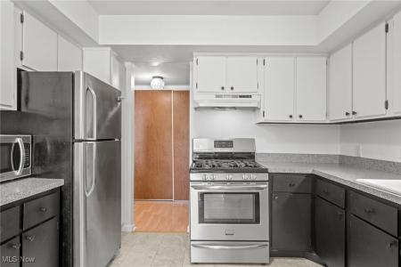 1105 Canyon View Road , 106, Northfield, Ohio 44067, Estados Unidos