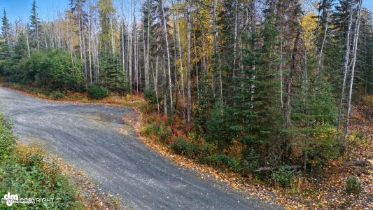 001 Ansel Street, Soldotna, Alaska 99669, USA