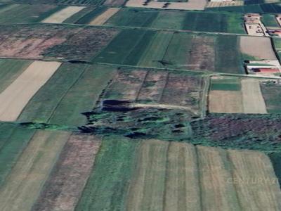 Periferia Vorë, Vorë, Albania