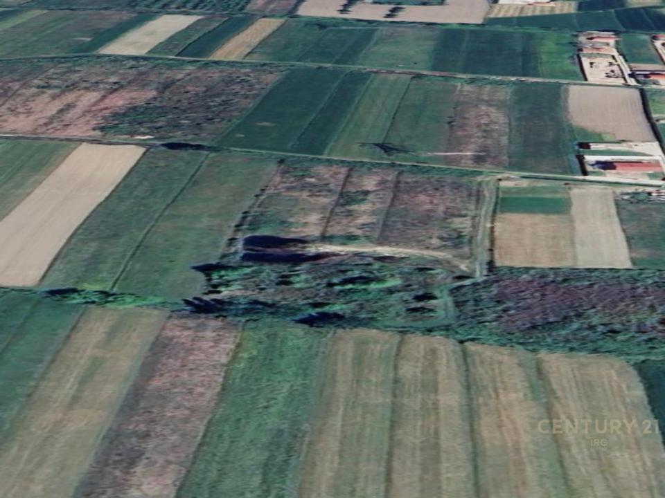 Periferia Vorë, Vorë, ألبانيا