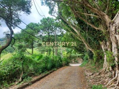 照門段石門小段, Xinpu Township, Hsinchu County 305, Taiwan