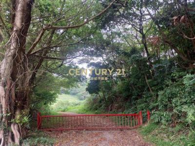 照門段石門小段, Xinpu Township, Hsinchu County 305, Taiwan