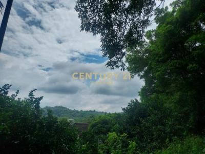 照門段石門小段, Xinpu Township, Hsinchu County 305, Taiwan