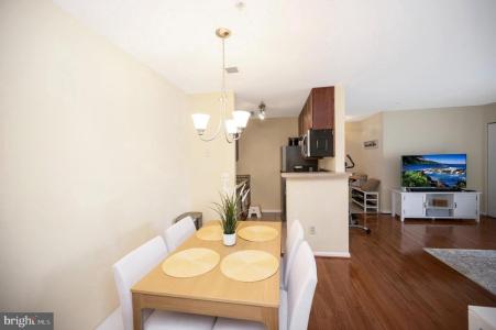 43 White Pine Circle , 303, Stafford, Virginia 22554