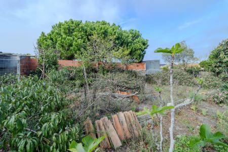 Marinha Grande, Leiria 2430-803, Bồ Đào Nha