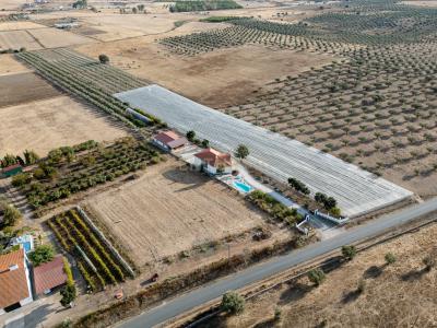 Moura, Beja 7885-113, Portogallo