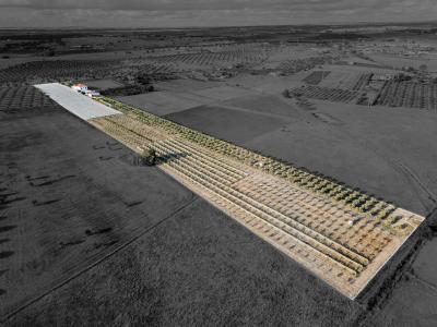 Moura, Beja 7885-113, Portogallo