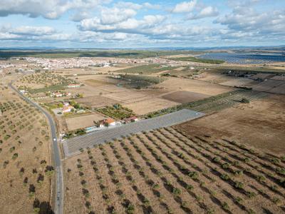 Moura, Beja 7885-113, Portogallo