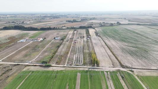 Almeirim, 산타렘 2080-231, 포르투갈